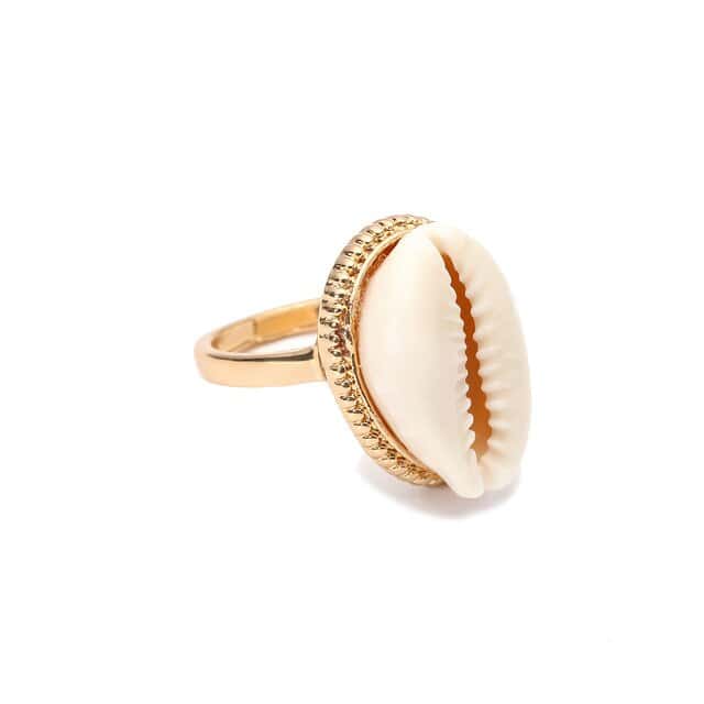 Skalring Gylden Cowrie